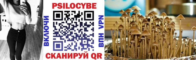 Псилоцибиновые грибы Psilocybe  Бологое 