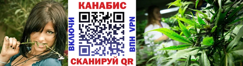 Бошки Шишки план  ссылка на мегу ONION  Бологое  хочу  